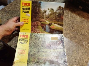 Lote De Colección De 2 Rompecabezas De Cuadros Tuco Entrelazados Talleres Tuco 250 Piezas - Imagen 1 de 8