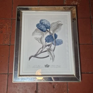 Trowbridge Gallery Impresión Botánica Flores Imperiales Azul Y Gris Enmarcado 19 X 23 - Imagen 1 de 21