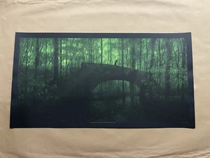 DANIEL DANGER “I’m Not Aware…” Poster Screen Print 2012 SIGNED Numbered Of 200 - Picture 1 of 6
