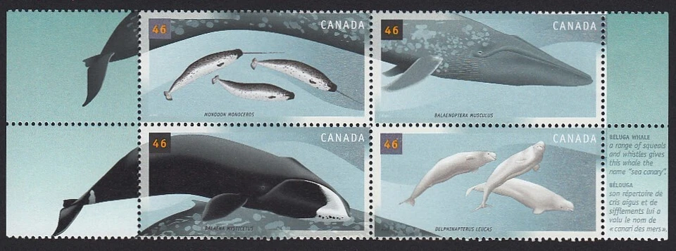 WHALES = NARWAL, BELUGA, BOWHEAD, BLUE WHALE = Block of 4(V4) Canada 2000 #1871a - Image 1 of 1
