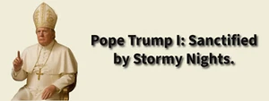 3x8 VINYL ANTI DONALD TRUMP PORN STAR STORMY AUTO POLITICAL FUNNY BUMPER STICKER - Picture 1 of 1