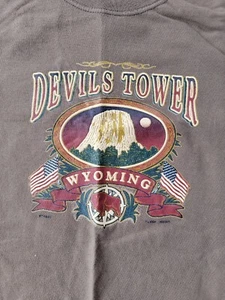 Devils Tower Wyoming T Shirt Adult Small Brown souvenir cotton 34" chest - Picture 1 of 16