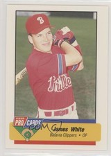 1994 Fleer ProCards Minor League James White #3463