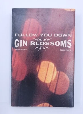 Gin Blossoms Follow You Down / Til I Hear It From You (Cassette Single 95 tested Foto 1 de 4