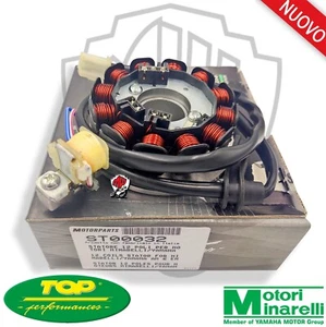 STATORE VOLANO MAGNETE HM DERAPAGE RR 50 2T 2010 2011 2012 2013 2014 2015 2016 - Foto 1 di 1