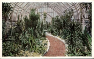 St Louis Missouri Botanischer Garten Sukkulentenhaus Chrom Postkarte Vintage 1985 - Bild 1 von 2