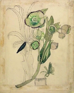 Helibore Green : Charles Rennie Mackintosh : 1915 : Archival Art Print - Picture 1 of 2