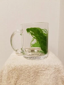 LootCrate Mug Fantastic Beasts: Crimes of Grindelwald Kelpie Watch Your Fingers - Picture 1 of 6