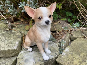 Vivid Arts Sitting Chihuahua Dog Ornament Frost Resistant Realistic Puppy Statue - Picture 1 of 5