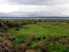 Photo 6x4 Pasture along the coast at Fybagh This more or less south easte c2005