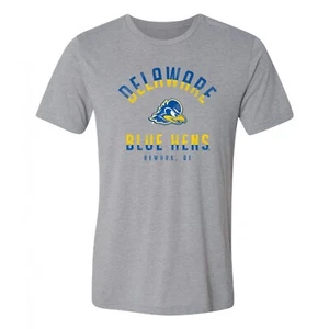 Delaware Division Arch Canvas Triblend T-Shirt - Athletic Grey - Picture 1 of 4