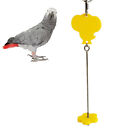  Bird Parrot Acrylic Treat Fruit Vegetable Holder Skewer Foraging Toy Feeder