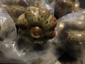 NEW  Cabinet Knobs 6 Pack Glazed Ceramic Knobs with Pumpkin Shape for Decor  - Picture 1 of 6