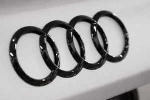 Audi 2018-2019 Audi A5, A5, RS5, S5 Front Grill Black Rings - OEM - BRAND NEW - Picture 1 of 1