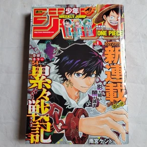 weekly jump 2024 01 - Picture 1 of 11