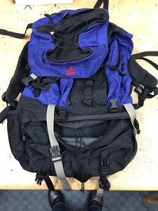 EASTERN MOUNTAIN SPORTS EMS Hiking Backpack Daypack Camping Hiking - Picture 1 of 12