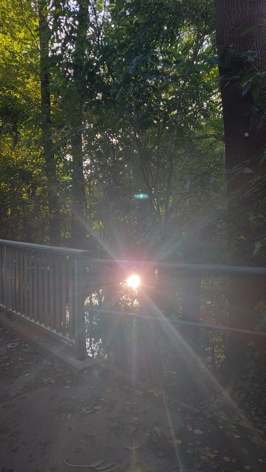 ICE Ticket nach Berlin am 23.10. um 20:06 ab Nürnberg. Ich kann nicht fahren. - Bild 1 von 1