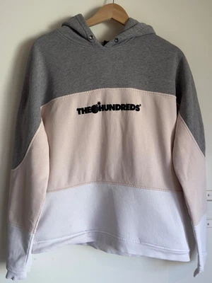 Sudadera con Capucha Peso Pesado The Hundreds Colorblock-Logo Flocado Adam Bomb-Med Foto 1 de 4