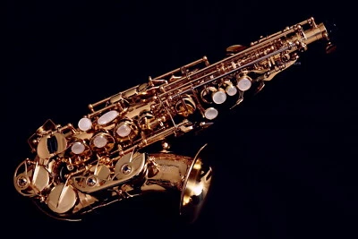 NUEVO 2025 Yanagisawa SC-WO20 (SCWO20) Bronce Elite Saxofón Profesional Foto 1 de 4