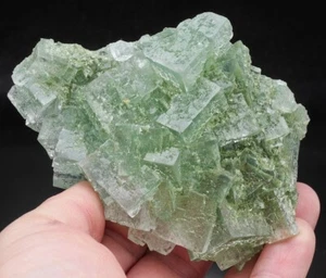 GRÜNER HALIT Würfel Kristalle - POLEN /bs418 - Bild 1 von 5