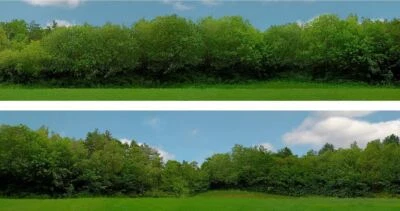 Scenic Backgrounds OO/HO Tall Trees Pack C ID Backscenes ID149C