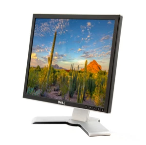 Dell 1708FPT Panel LCD 17" Flat Computer Monitor Display VGA DVI USB Port Silver - Picture 1 of 12