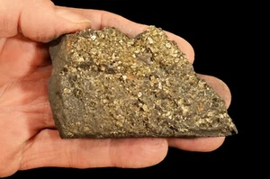 Pyrit Schungit 4" x 3" 9 Oz Berg Mineral Probe Chakra Heilkristall - Bild 1 von 1