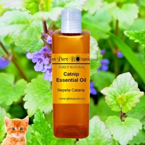 Pure & Natural ESSENTIAL Oil Therapeutic Grade 50+ Varieties Choose Many Sizes - Picture 1 of 244