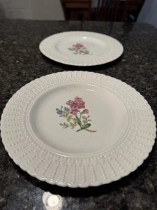 Set of 2 Royal Cauldon Bristol Ironstone “Norbury” Sweet Rocket Plates –Floral - Picture 1 of 5