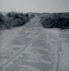 Photo 6X4 Old Railway Tracks Kilnsea Looking Back Up The Road To Spurn Po C1966