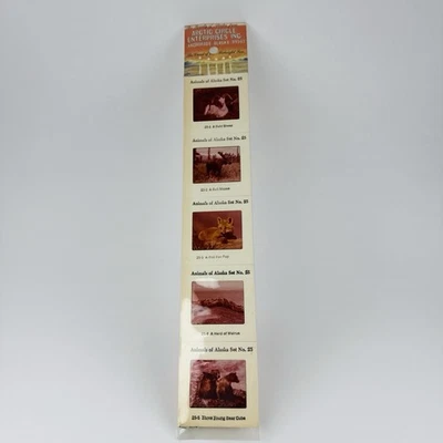 Conjunto de fotos de recuerdo de colección animales de Alaska No. 25 empresas del Círculo Polar Ártico Foto 1 de 4