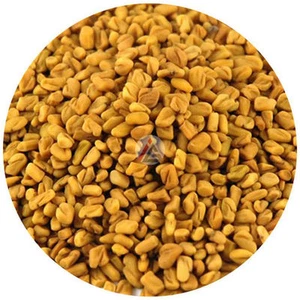 Fenugreek (Methi) Seeds - 450 gm - Bild 1 von 1