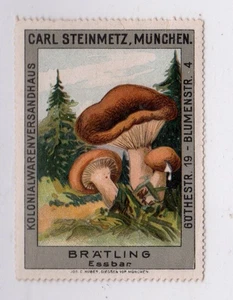 German Advertising Stamp- Carl Steinmetz, Grocer - Lactaria Volema Mushroom - Picture 1 of 2
