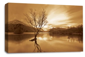 Large Floral Landscape Sunset Art Print Brown Cream Framed Canvas Picture - Picture 1 of 16