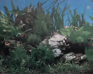 Vinyl Aquarium/Fischtank/Vivarien Kulissen - Bild 1 von 1