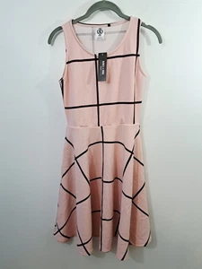 Agnes & Dora Fisher Dress Pink Purple Windowpane XS New! Fit & Flare Sleeveless - Picture 1 of 5