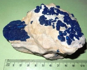 Azurite on Kaolinite - Malbunka Mine, N.T. . Mineral specimen 100x90mm #299 - Picture 1 of 4