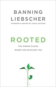 Verwurzelt von Banning Liebscher - Taschenbuch - Die verborgenen Orte, wo Gott - Bild 1 von 3