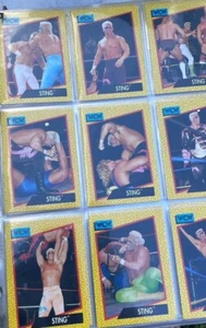 1991 WCW 160 Trading Cards and other wcw fan stuff. Wwe Wwf Wcw Wrestling - Picture 1 of 9