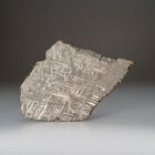 Genuine Muonionalusta Meteorite Slice (450 Grams)