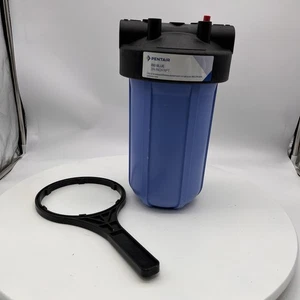 Big Blue Pentair 10 Inch Opaque 3/4” NPT - Picture 1 of 6