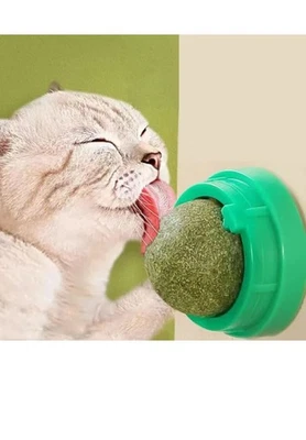6PC-Catnip Wall Ball Toy, Natural Cat Grass Treats for Digestion &Play, 3 flavor - Image 1 of 4