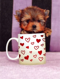 Set of 8 Cute Puppy Cup Yorkie VALENTINE'S DAY Card + Envelopes by Tomato Cards - Picture 1 of 5