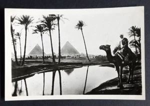 The Pyramids of Gizeh Giza Cairo Egypt c1950s Real Photo Postcard RPPC Camel UNP - Picture 1 of 2