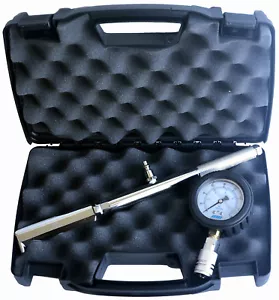 NNI Quick Connect Idrante, Pump Flowtest Pitot Tube Gauge 160Psi in custodia - Foto 1 di 4