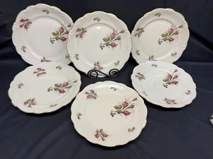 Rosenthal "MOSS ROSE" Pompadour ~ Ivory ~ Set of 6 ~ Dinner Plates ~ 10 1/8" - Picture 1 of 8