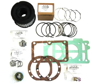 KU101, 610-1123 Rebuild Kit with Valves for Jenny / Emglo /Dewalt KU Pumps - Imagen 1 de 3