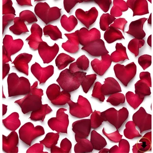 Buon San Valentino - Foto 1 di 1