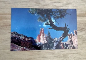 Giardino della Regina, Parco Nazionale di Bryce cartolina d'epoca - Foto 1 di 2