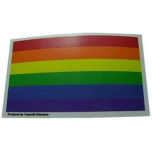 Rainbow Gay Pride Flag Bumper Sticker 3 x 5 Inch Lesbian LGBTQ RESIST - Picture 1 of 1